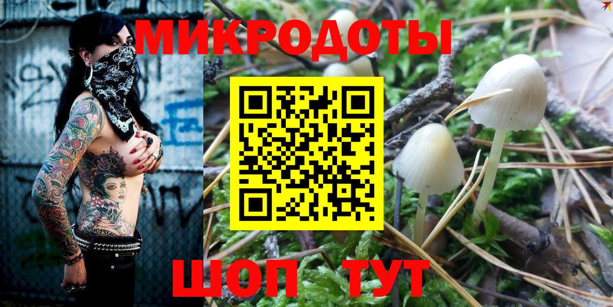 Псилоцибиновые грибы Cubensis Зеленокумск